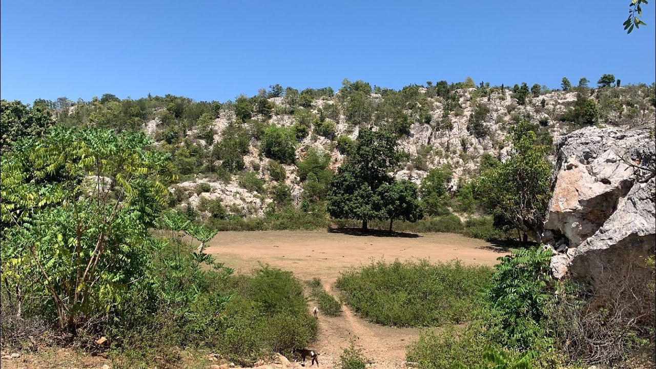 Untouched, Breathtaking Mountain & Oceanview Land for Sale in Cap-Haitian (Near Labadee) -