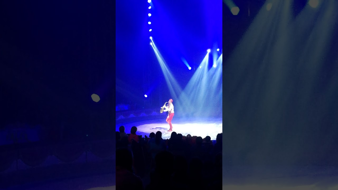Mosquito Cirque Falck 2018