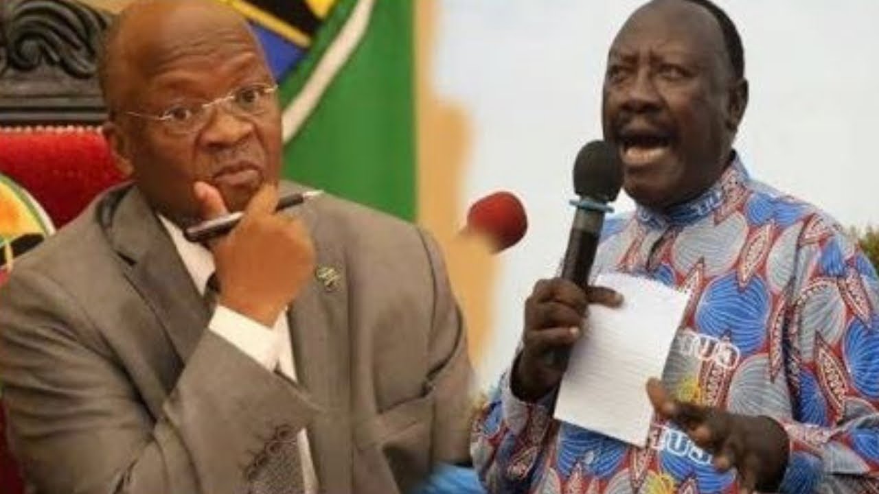 PROF LIPUMBA AMSHAURI RAIS MAGUFULI - "BORESHA JAMBO HILI" | TBC1