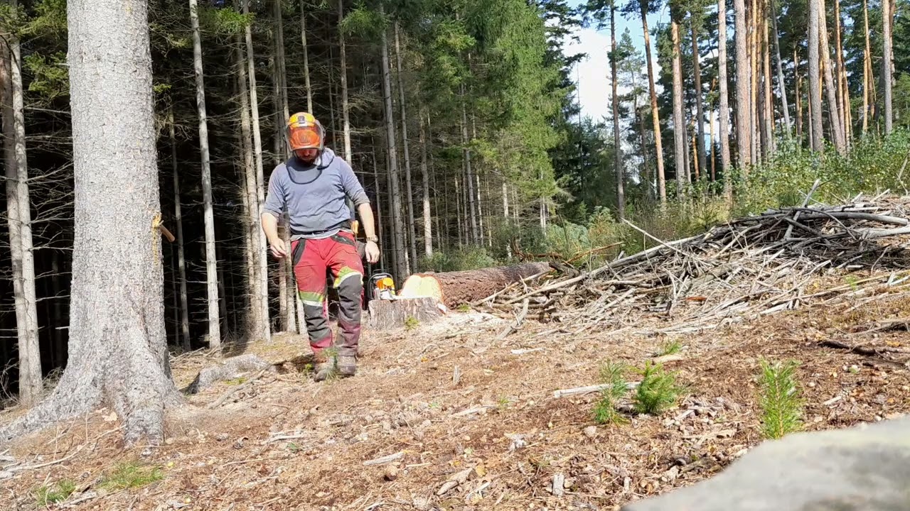 Work in forest,práce v lese stihl ms400c