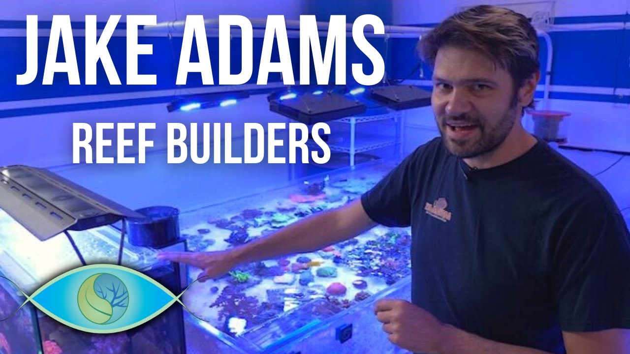 Jake Adams Vast Supply of Beautiful Corals - Reef Builders Aquashella Talk