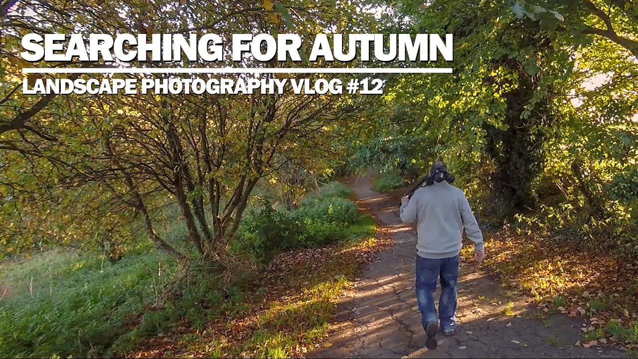 Autumn Trees at Sharpenhoe Clappers - Landscape Photography Vlog #12