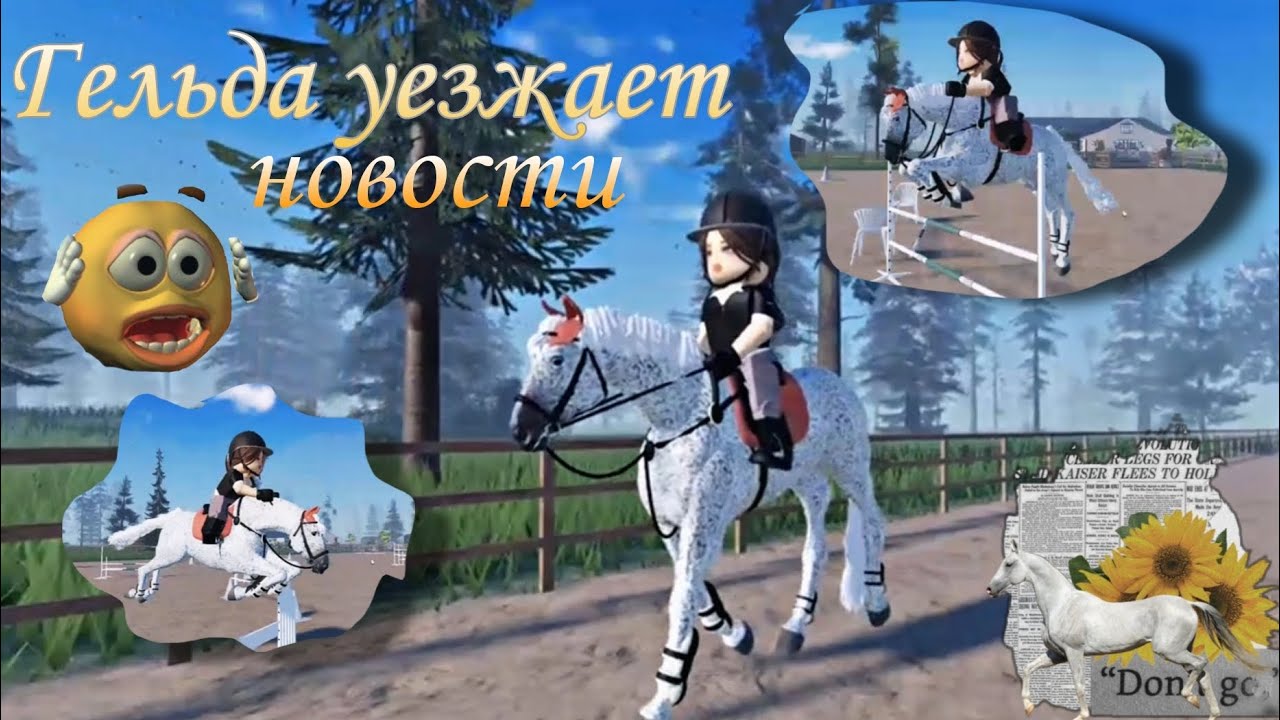 НОВАЯ КОНЮШНЯ?/КСК В МСЕ!?