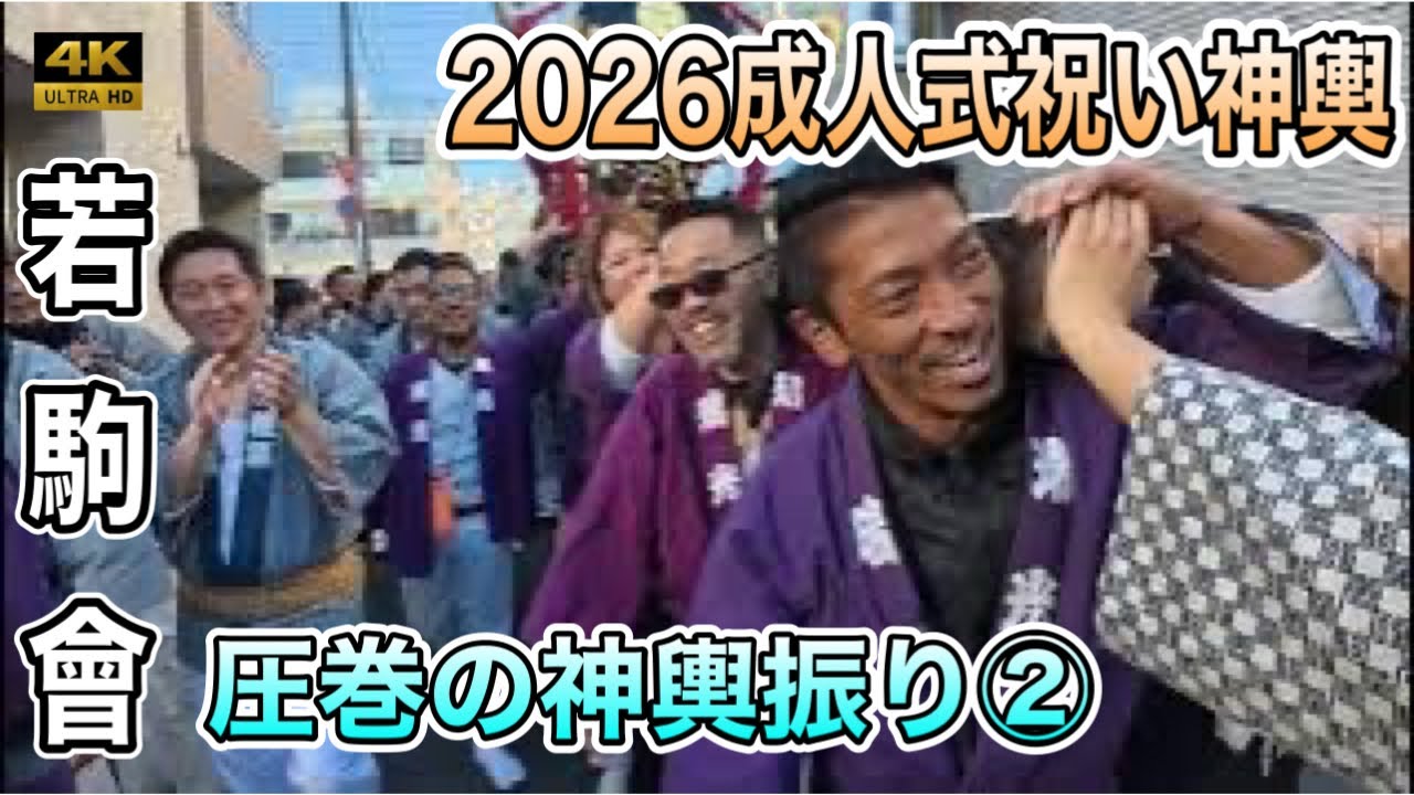 【若駒會2026】成人式祝い神輿 4K圧巻の神輿振り！担ぎ手が魅せる伝統継承の形 荒川区南千住