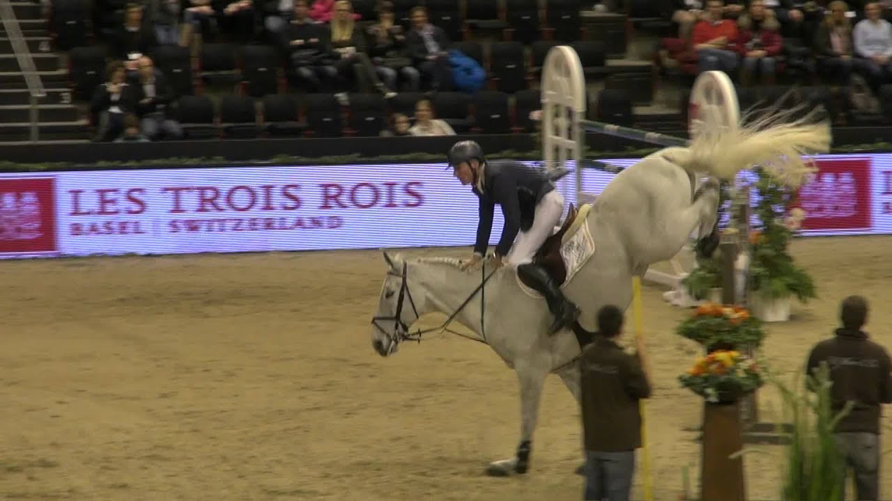Cantus (Bw) (webstallions.com)