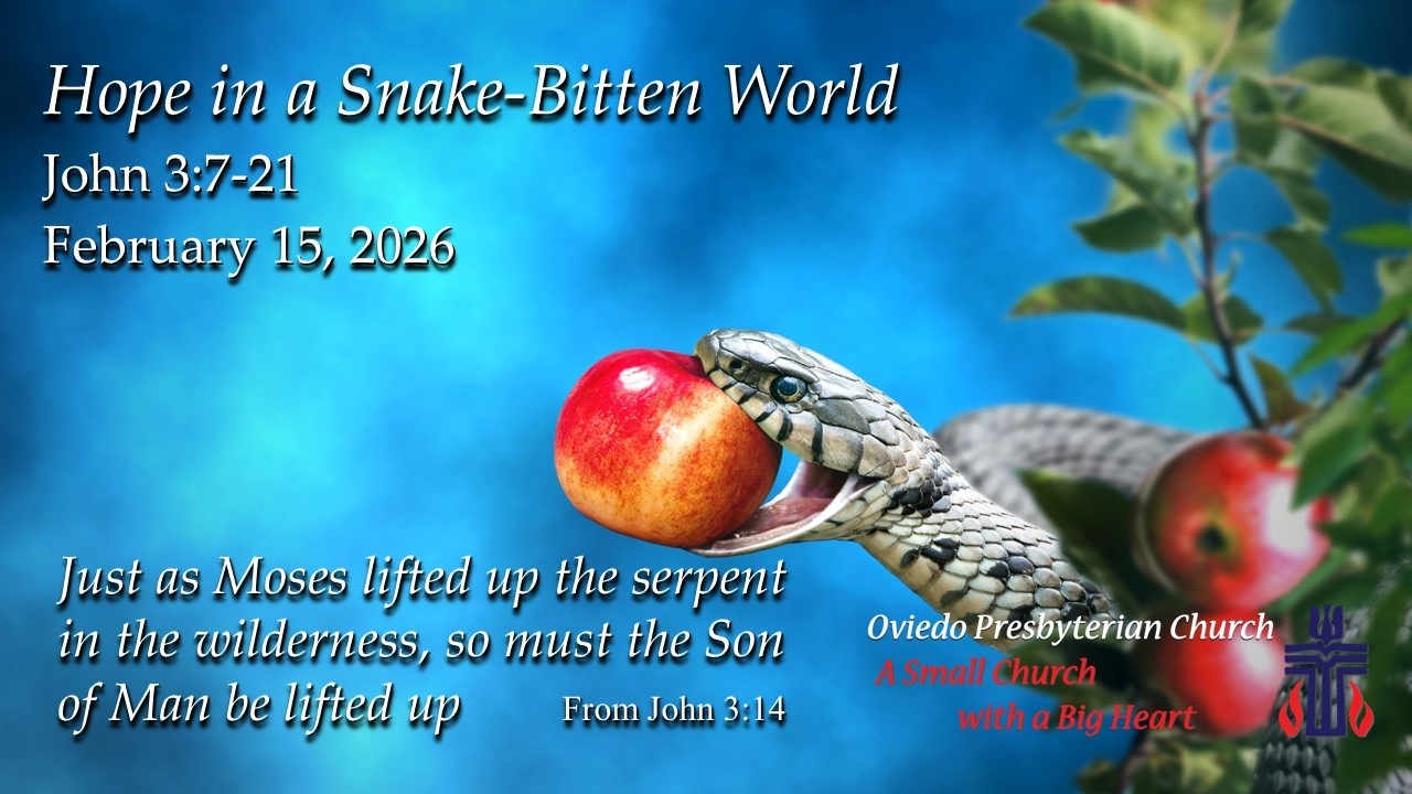 : Hope in a Snake-Bitten World – John 3:7-21Sermon Oviedo Presbyterian