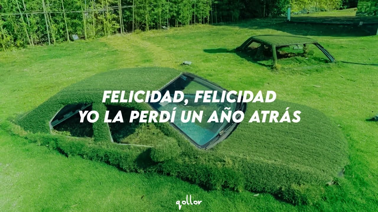 Los Iracundos – Felicidad, Felicidad | Letra