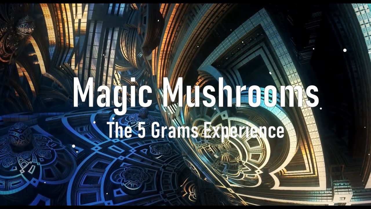 Magic Mushrooms | The 5 Grams Experience (Heroic Dose)