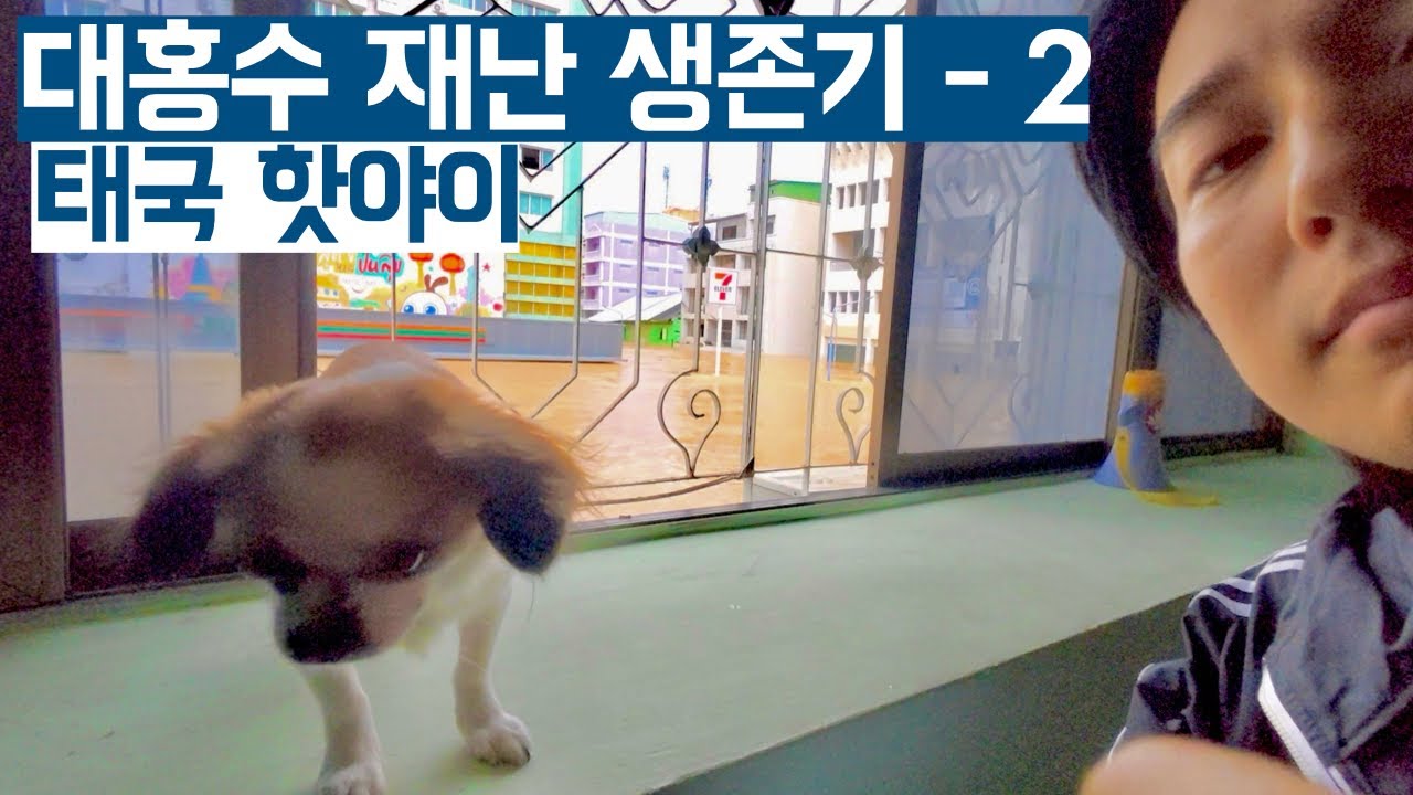 도로에 보트가 다녀요. 태국 핫야이 대홍수 속 재난 생존기 ep.2 / 시즌 2-4