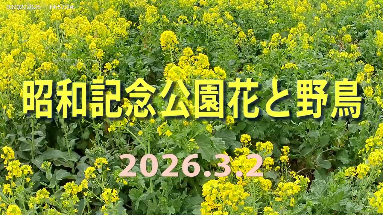 昭和記念公園　花と野鳥