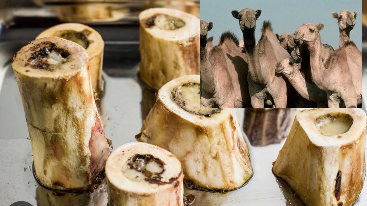 Faiidada dhuuxa geela wax ka ogow /Advantage bone marrow #iladhadhami #bone marrow #subscribe