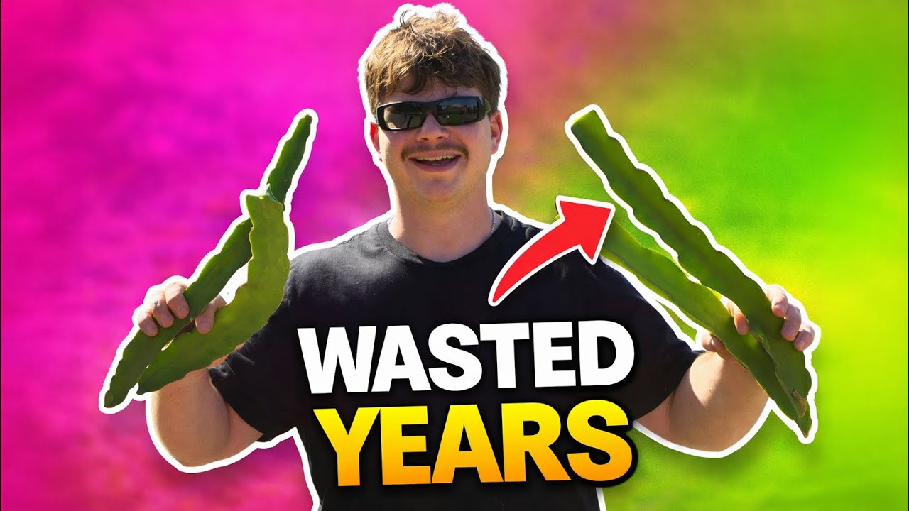 Bad Genetics Waste Years (Dragon Fruit Truth)
