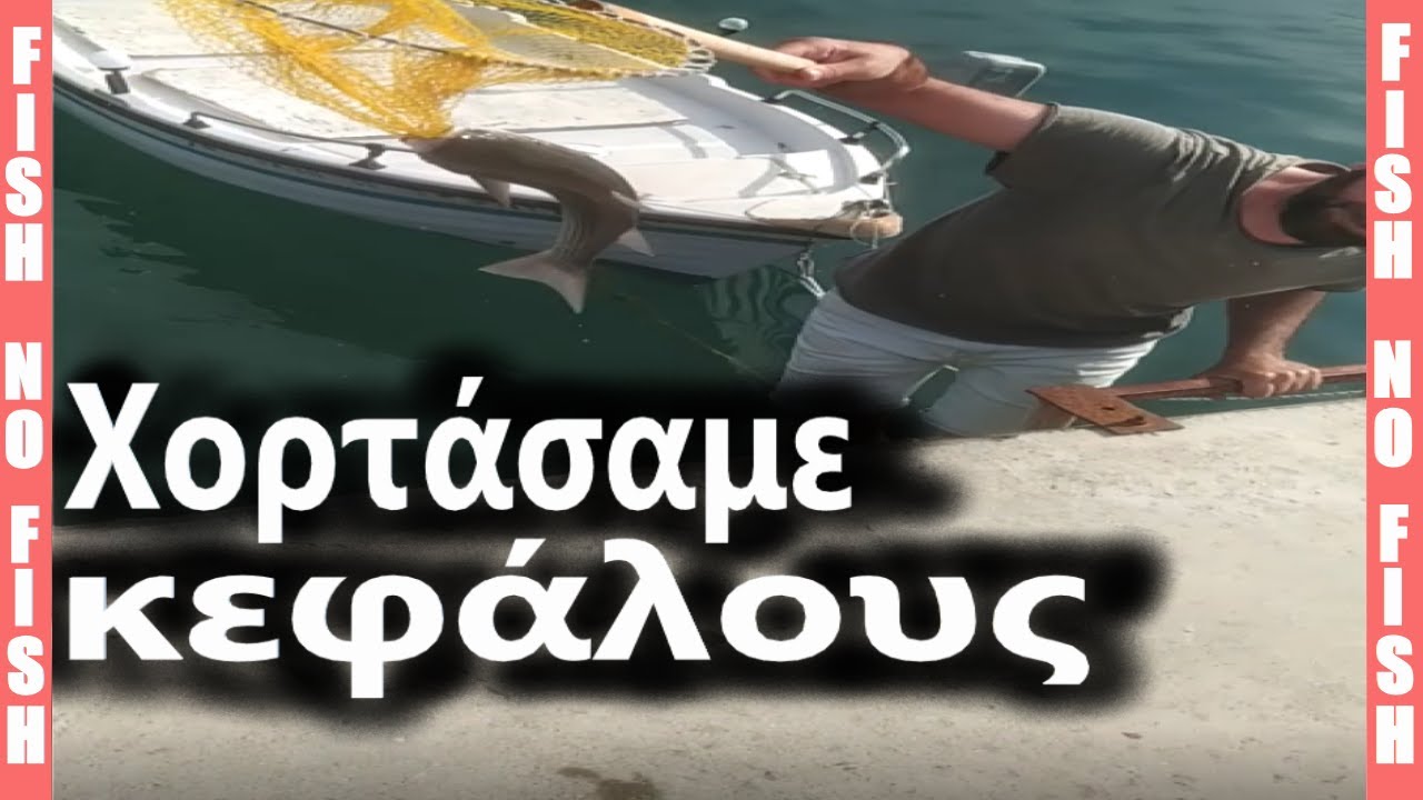 Ψάρεμα κεφάλου με ψωμί πολυάγκιστρο