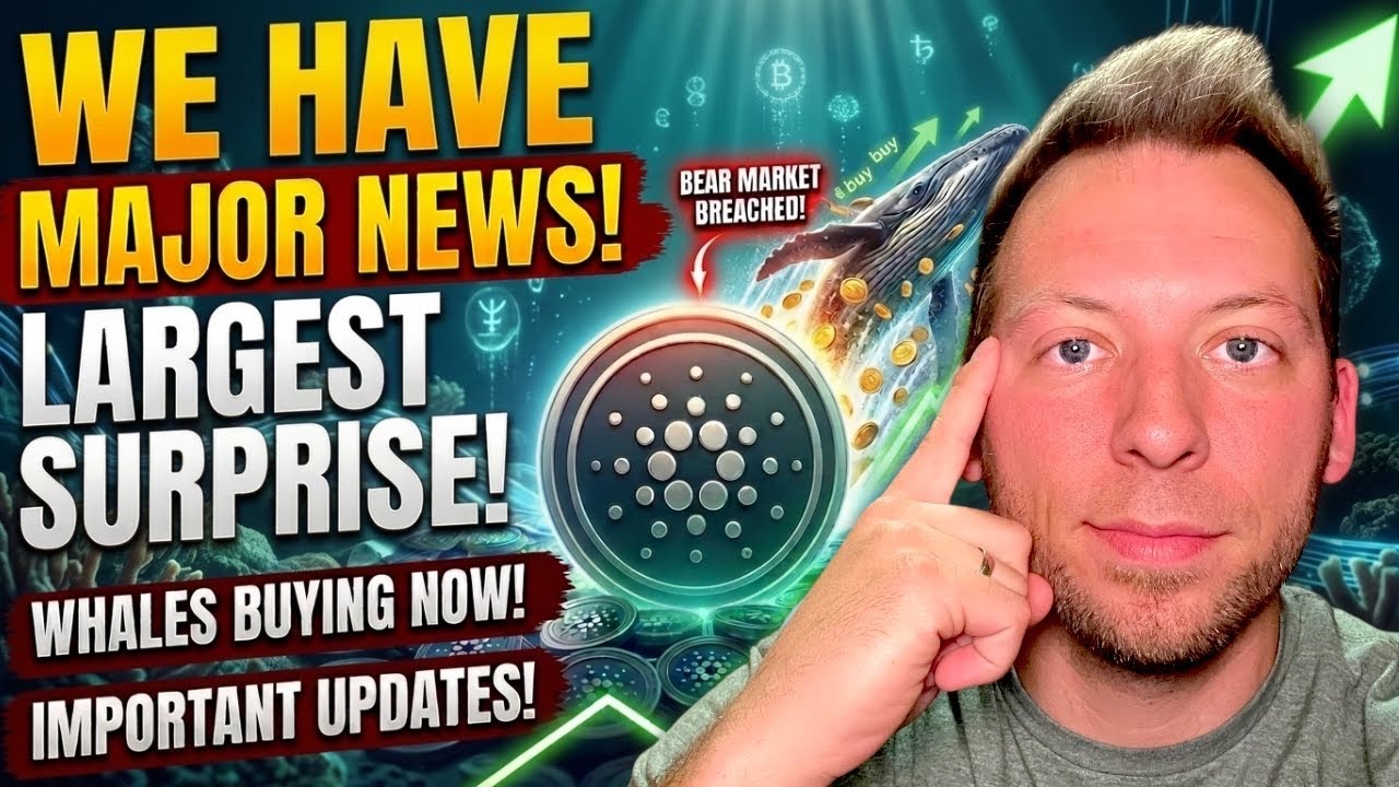 CARDANO ADA &mdash; Главные новости! Самый большой сюрприз медвежьего рынка! Киты Cardano скупают актив!