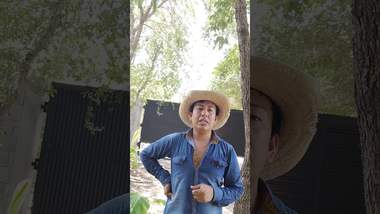 El karma se las está cobrando los inmigrantes primero Dios los perdone