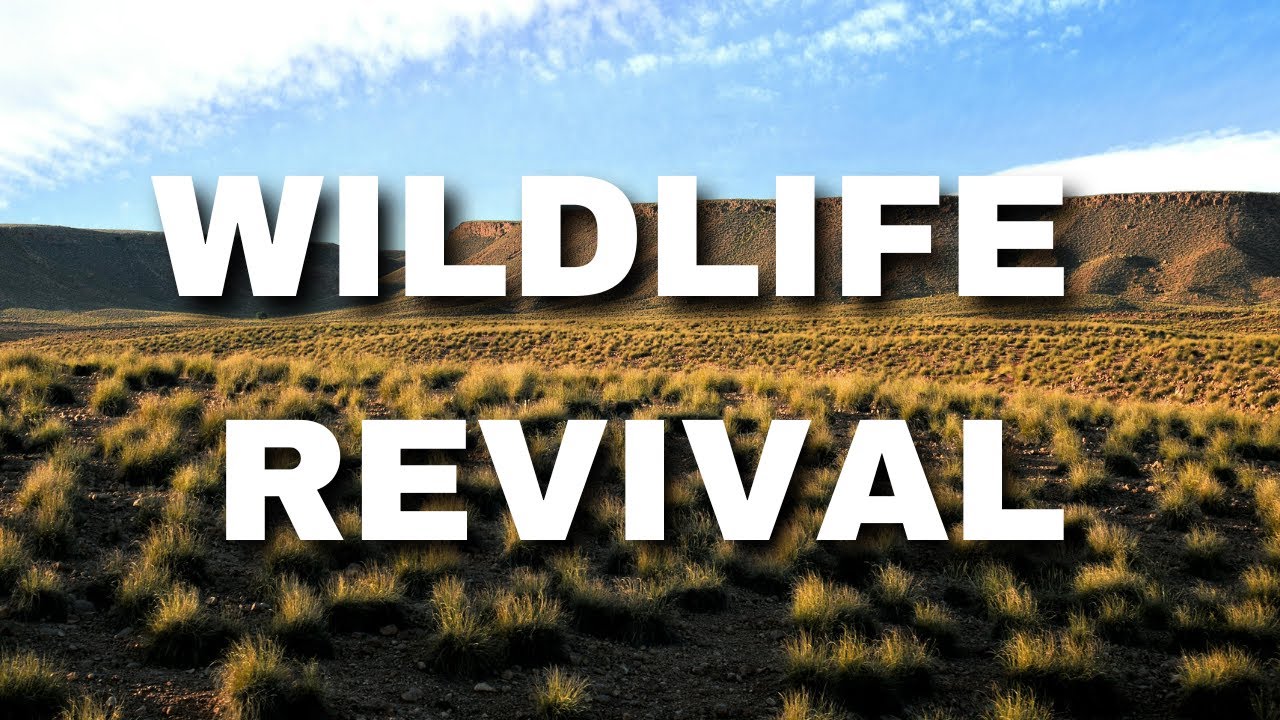 The Banhine Revival: How this Reserve Restore its Biodiversity