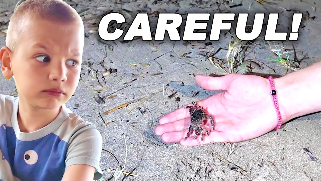 It Will PINCH You! SCARED Of Crabs!