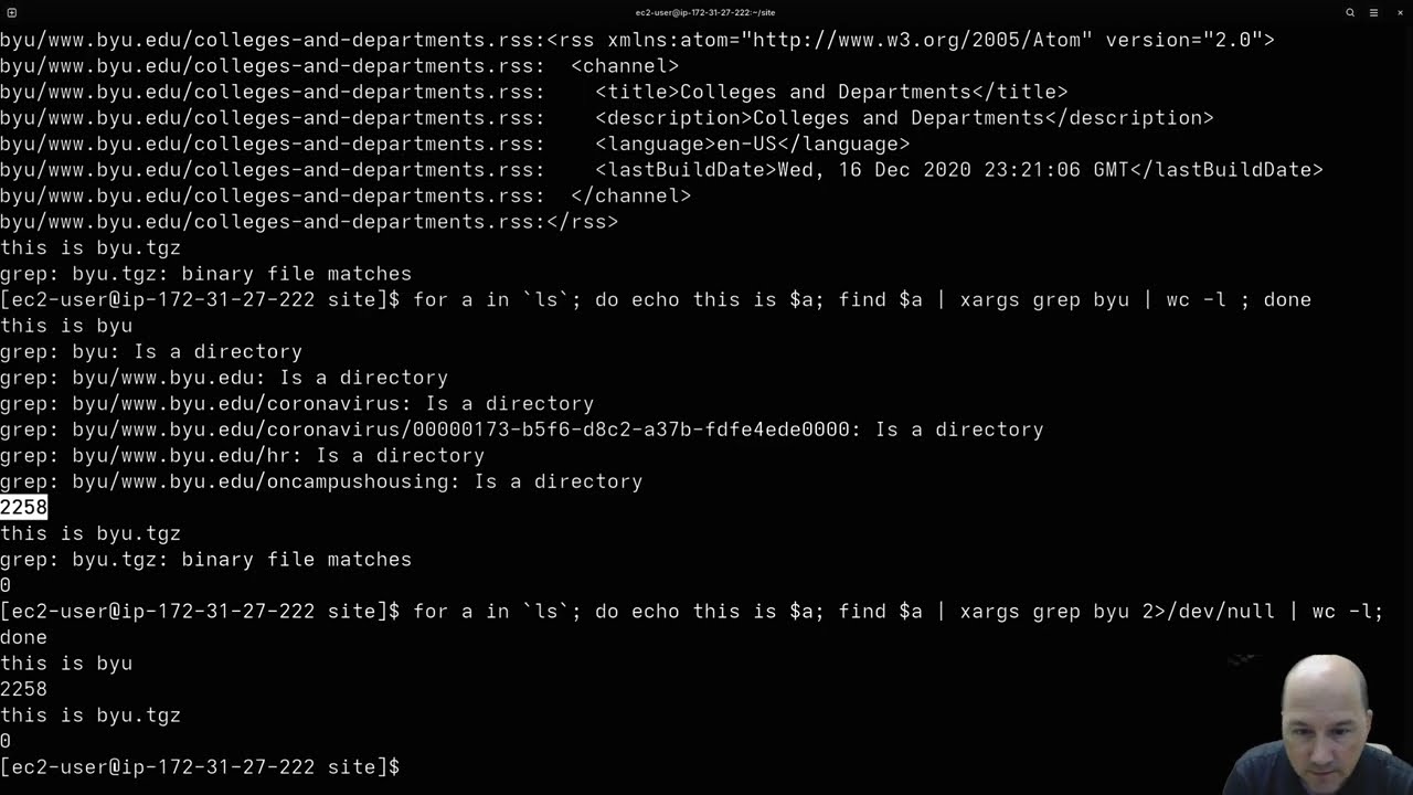 Linux Admin 2025 &mdash; начало работы с sed и awk