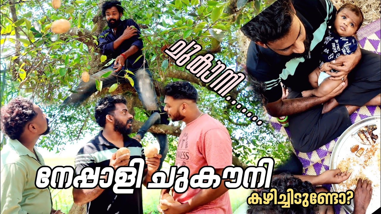 നേപ്പാളി ചുകൗനി റെസിപ്പി | ഇത് ഉണ്ടെങ്കിൽ ഊണിന് വേറെ ഒന്നും വേണ്ട 🤤🤤 #pagovlogs #food 