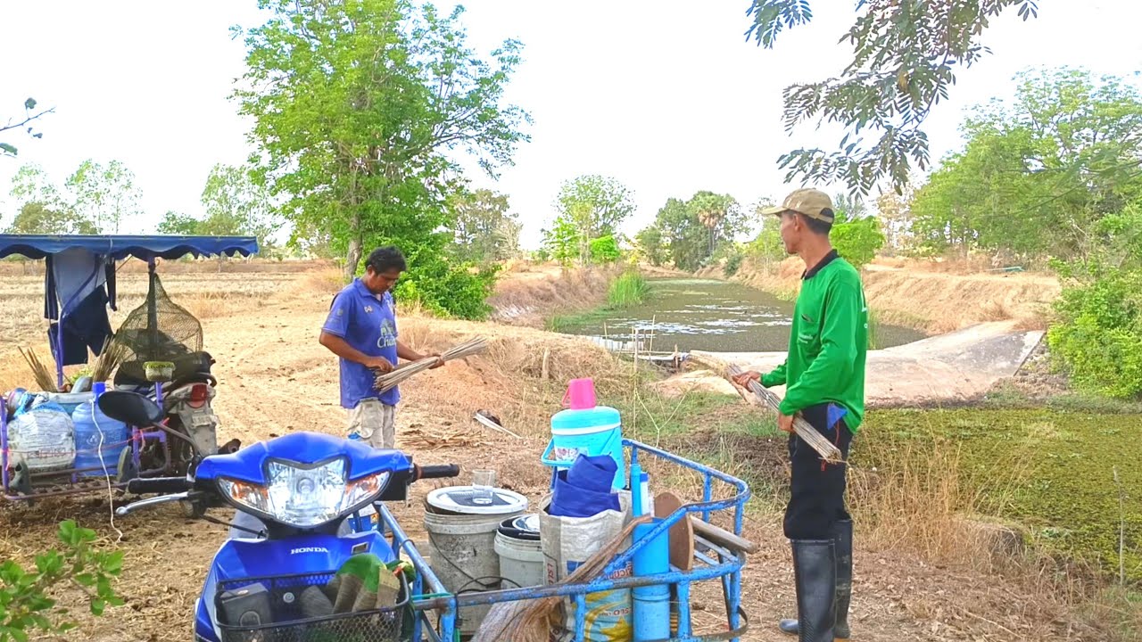 ผิดคาดอย่างแรง!!ใส่เบ็ดเหยื่อแมงจีซอนกินข้าวทุ่ง หมายป่าจอกมีแต่นกหน้าขาว ถอนกำลังด่วน