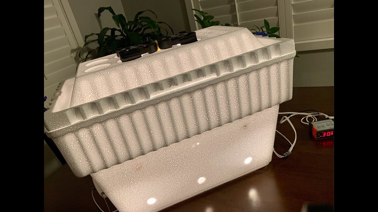 Optimizing Your Tempeh Incubator