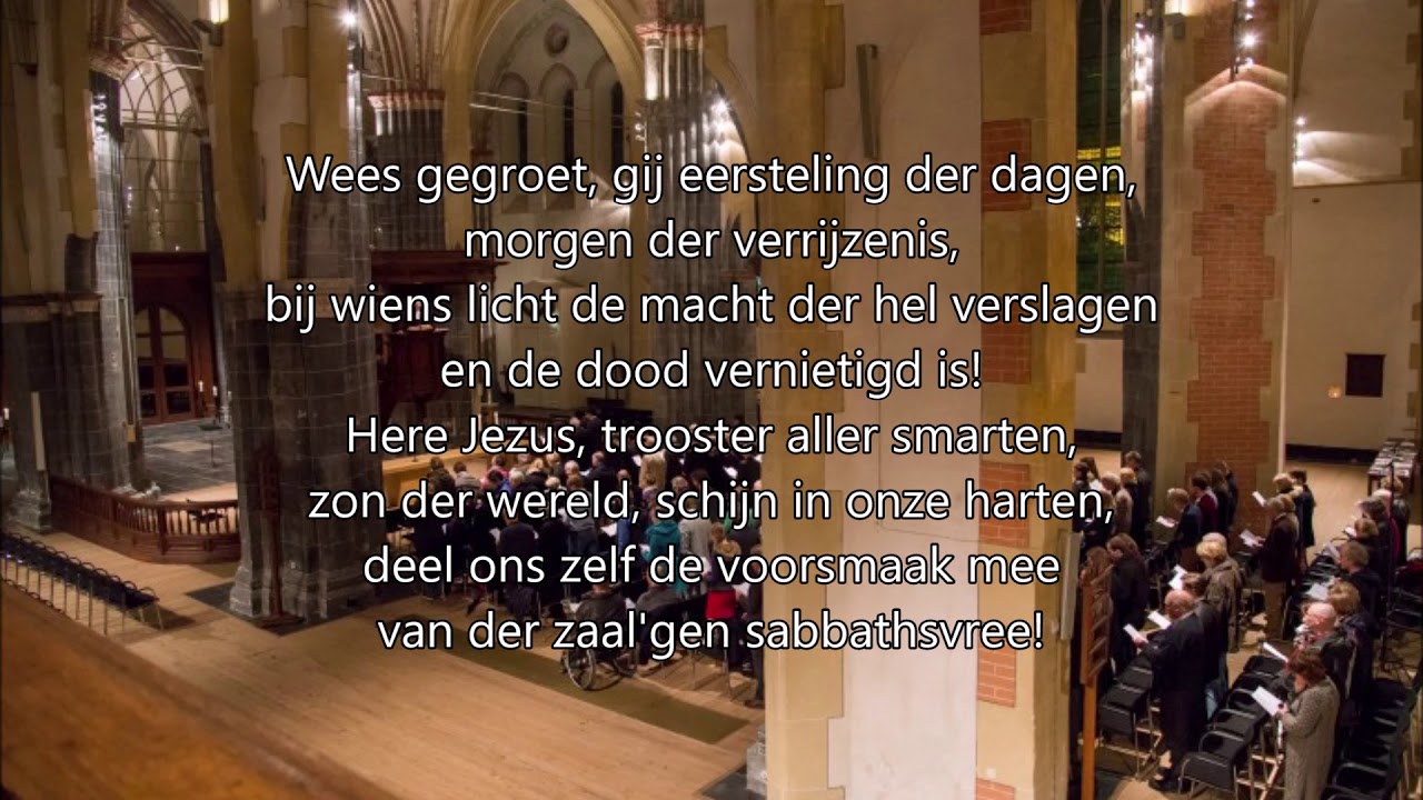 Gezang 221, Wees gegroet, gij eersteling der dagen