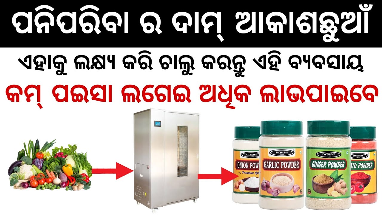 New Business Idea Odia Low Investment Business Idea Odia New Business Idea 2024 Odia