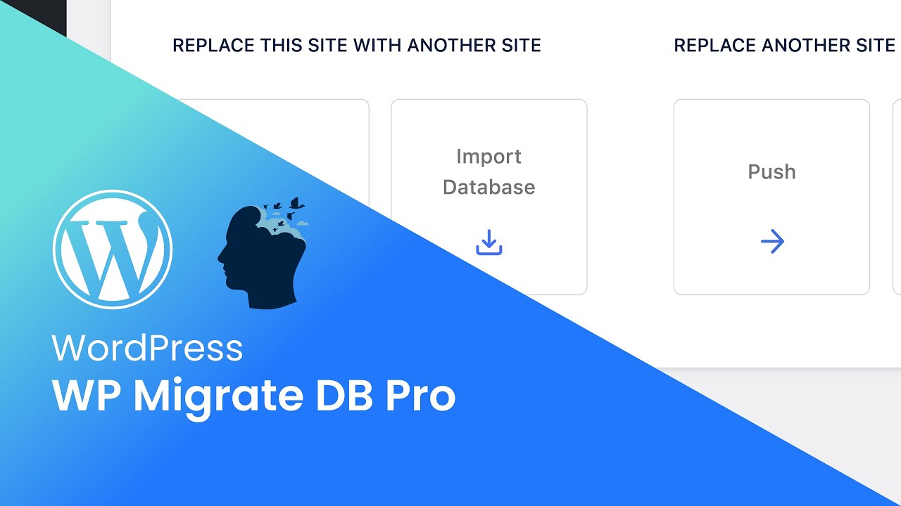 WordPress - WP Migrate DB Pro Basics
