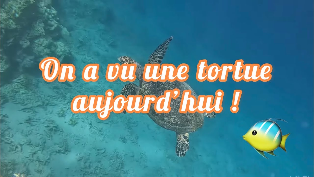 Épisode 3: journée aquatique !