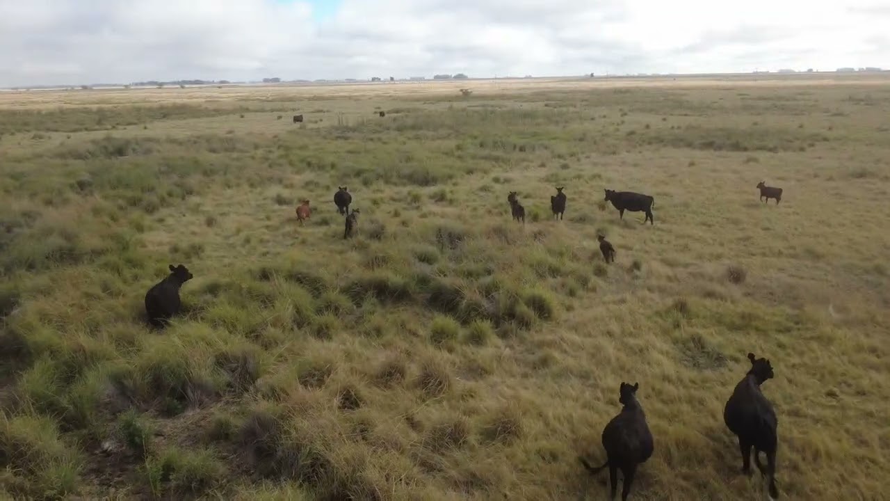 2026.02.17 Esquina DJI 0053