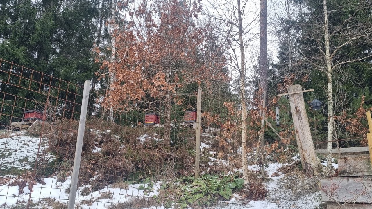 @Helamoderjord s Hela Moderjordmeditation 20260126