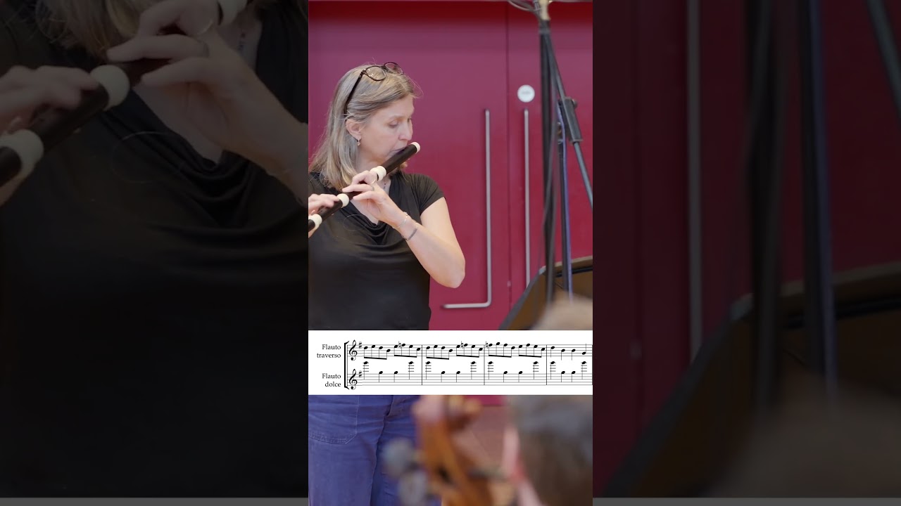 How similar actually are the Flute and Recorder?