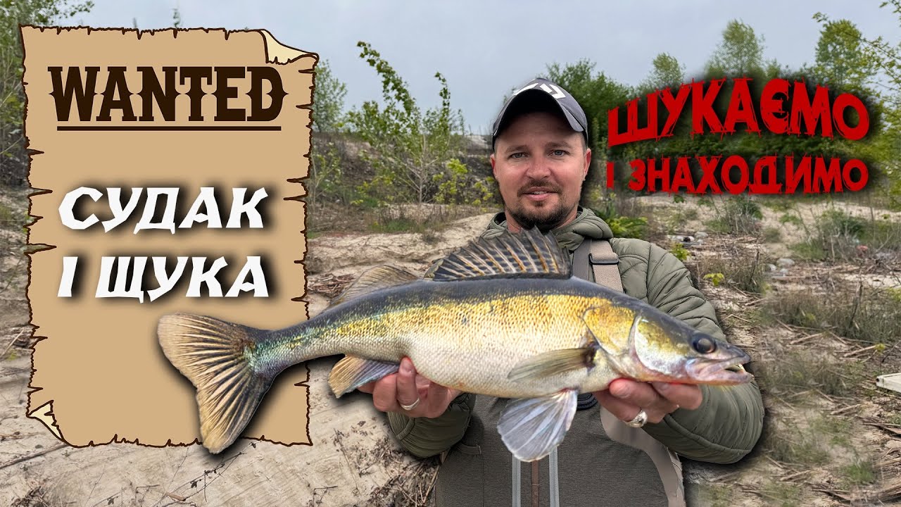 Хочете Зловити Рибу на Десні? Перегляньте Це!