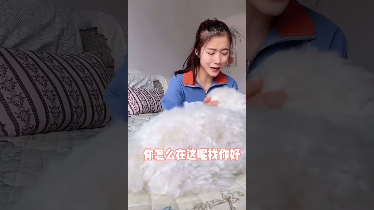 泰迪长的真的很快！一天一个样！羊肉也很好吃！小朋友们要多吃肉，才能长高高！