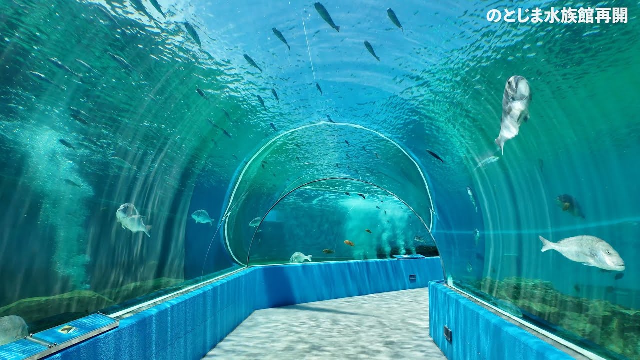 のとじま水族館再開 2024年7月 / 石川県七尾市能登島