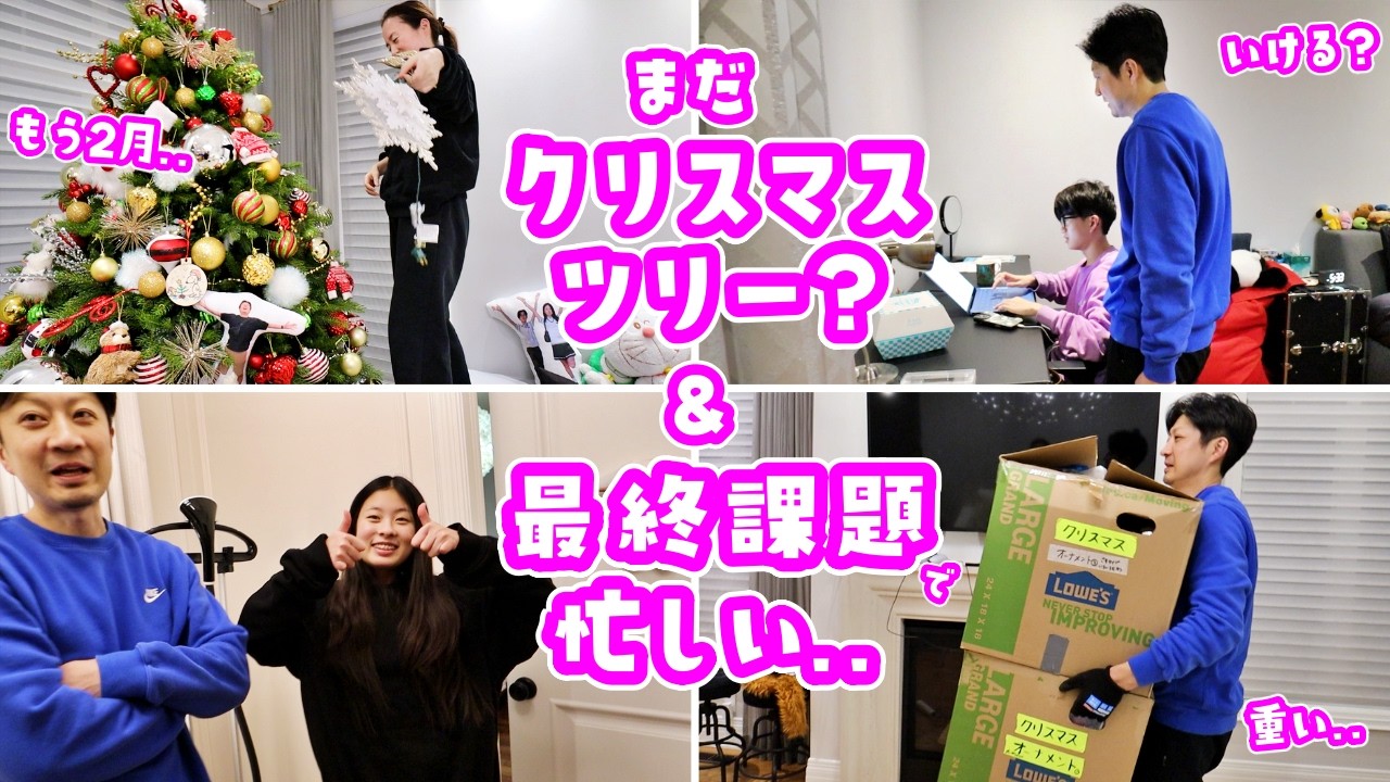 もう2月なのにまだクリスマスな我が家・・・かほせいは前期の最終課題で忙しいのでママ＆パパでがんばって片づけます🫡かほせいの邪魔をしないはずが乗ってくれるかほせいさん❤️