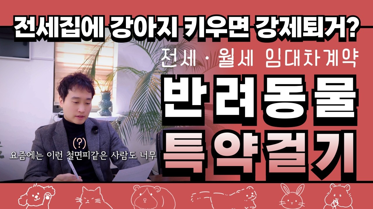 전세집 반려동물 금지? 임대차계약 특약 넣을때 '이것' 주의하세요!
