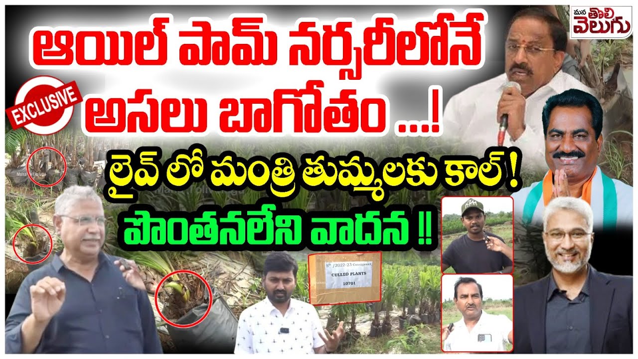 Oil Palm Crop Scam Episode 03 : ఆయిల్ పామ్ నర్సరీలోనే అసలు బాగోతం ...! లైవ్ లో మంత్రి తుమ్మలకు కాల్!