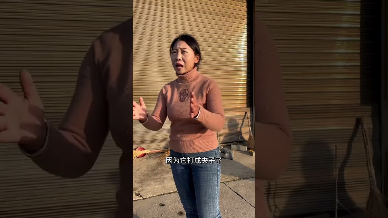 三农赤松茸 总结一下今年出菇早了半个月的经验