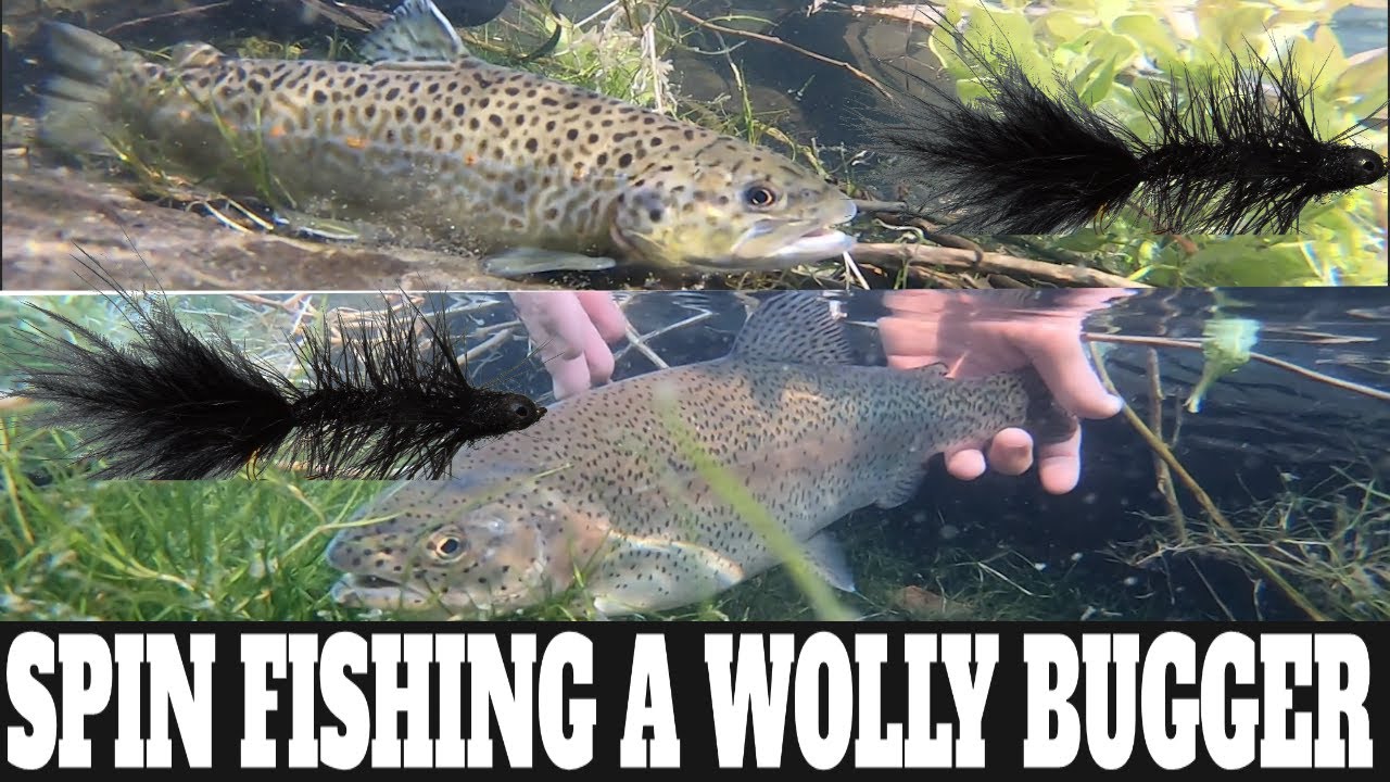 How To Catch Trout On Woolly Bugger Streamer: Fly Fishing On Spinning Gear