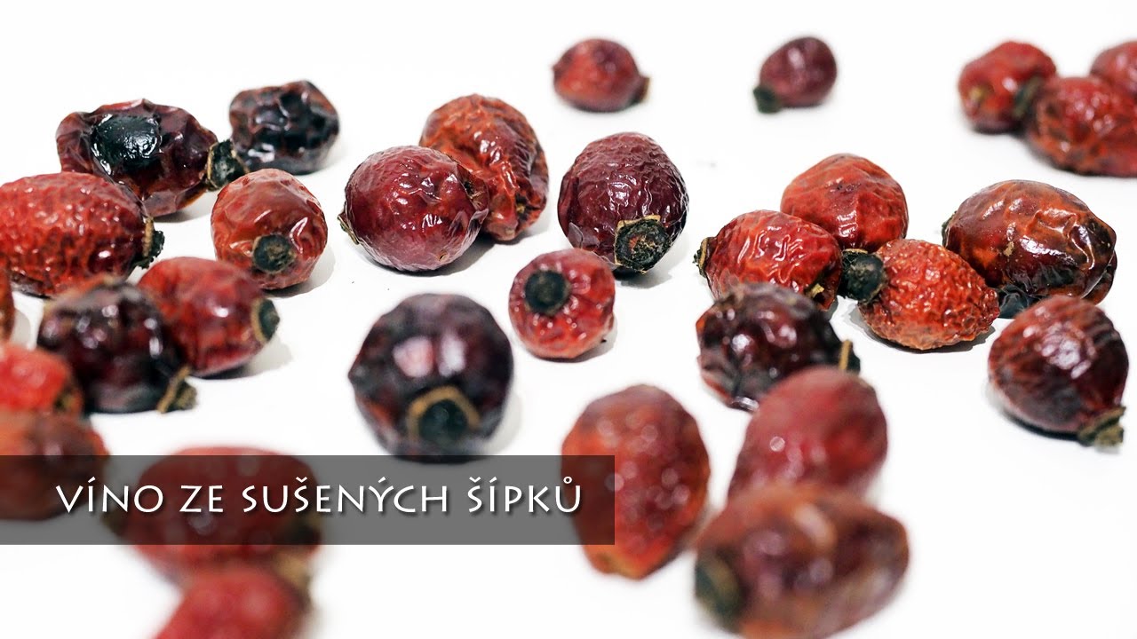 Recept na víno ze sušených šípků: Dokonalý výsledek! (2. část)