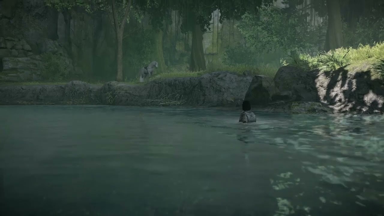 Horse Vibing in Shadow Of The Colossus