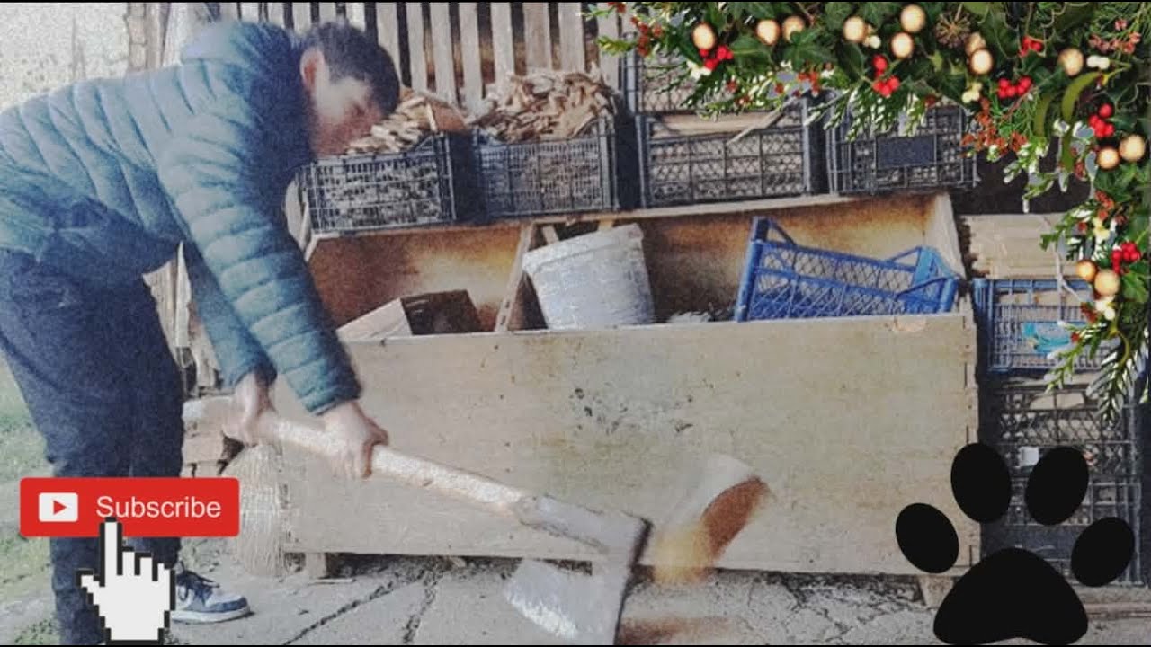 ЦЕПИМЕ ДРВА ! ( December Vlogs #4 )