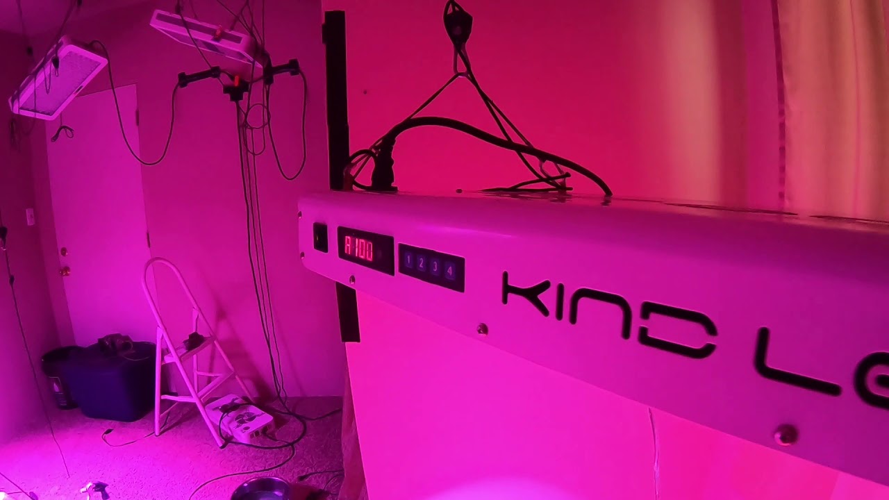 LED Light Battle #1: KIND LED XL750 VS HIGROW 1000 watt optical lens