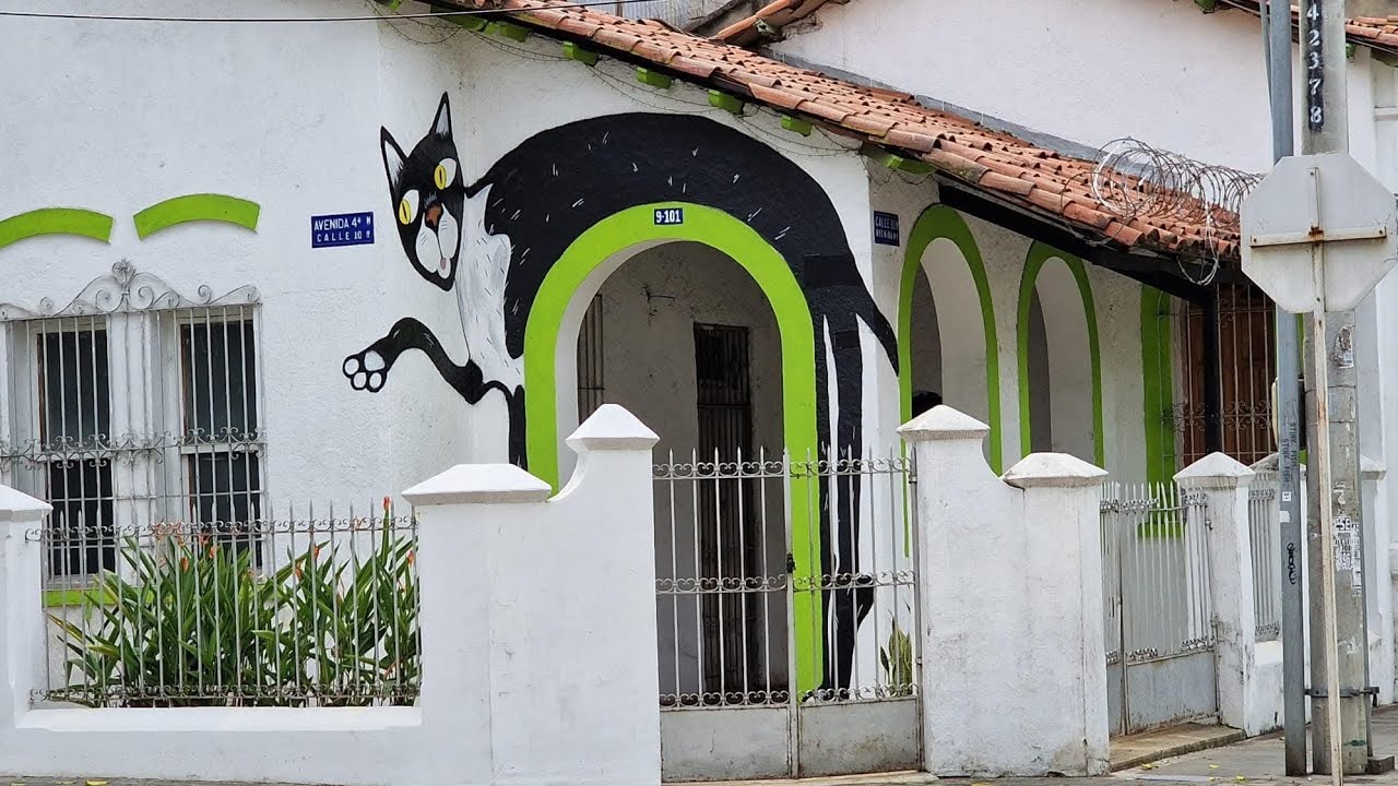 Borondo Caleño por las Calles de Granada y la avenida sexta de Cali 🇨🇴