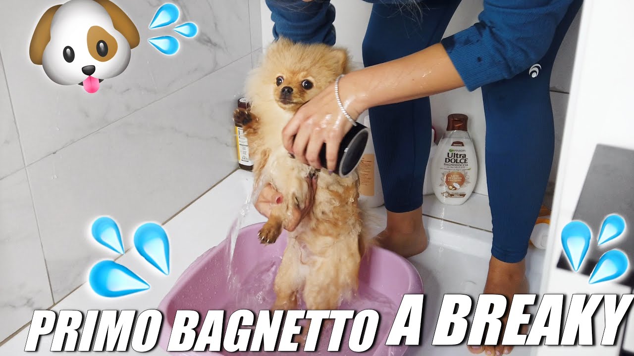 PRIMO BAGNETTO PER BREAKY 🐶💦 Vlog | MelissaTani
