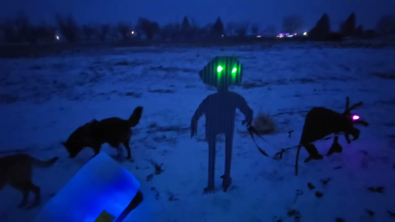 12-02-2025, Пришельцы приземлились!!!