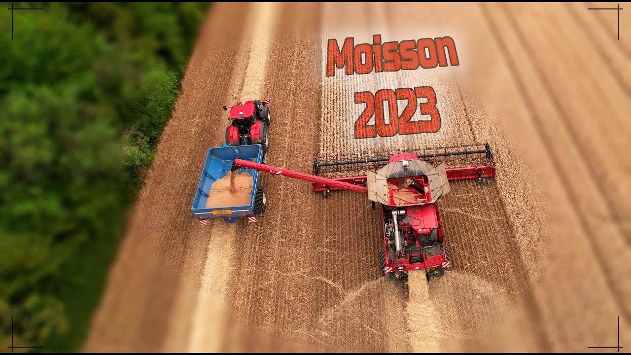 2 Case IH Axial 9250 et transbordeur Kinze un soir d'orage .../ combine with tracks