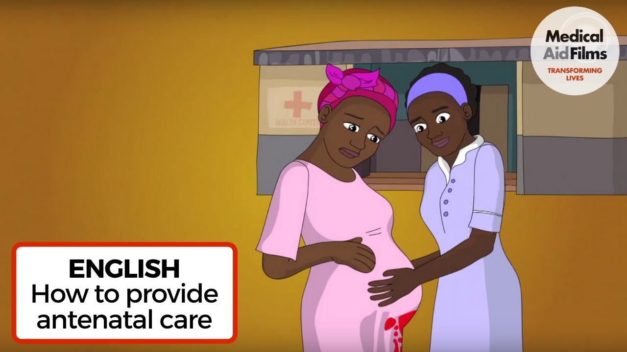 How to provide antenatal care