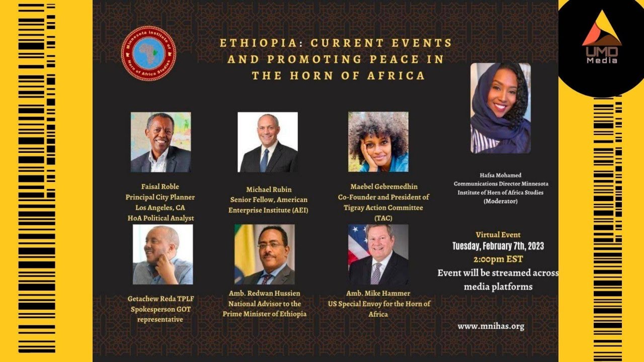 Panel - Ethiopia: Current Events and Promoting Peace in the Horn of Africa (mnihas.org  )